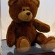 Best Teddy Bear Display Boxes & Cases | Teddy Information – Everything You Need to Know About Teddy Bears