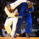 Epic Judo Clash: Tushishvili vs Riner Rivalry | Teddy Information – Everything You Need to Know About Teddy Bears