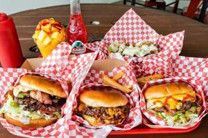 Best Teddy B's Burgers in San Antonio, TX Teddy Information – Everything You Need to Know About Teddy Bears Best Teddy B's Burgers in San Antonio, TX | Teddy Information – Everything You Need to Know About Teddy Bears