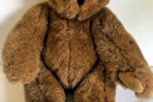 Know Your Vermont Teddy Bear Value & Worth Teddy Information – Everything You Need to Know About Teddy Bears Know Your Vermont Teddy Bear Value & Worth | Teddy Information – Everything You Need to Know About Teddy Bears