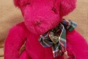 Vintage Victoria's Secret Teddy Bear Guide Teddy Information – Everything You Need to Know About Teddy Bears Vintage Victoria's Secret Teddy Bear Guide | Teddy Information – Everything You Need to Know About Teddy Bears