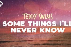 Teddy Swims: Meaning & Symbolism Explained | Teddy Information – Everything You Need to Know About Teddy Bears