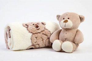 Cozy Blanket and Teddy Sets for Sweet Dreams | Teddy Information – Everything You Need to Know About Teddy Bears