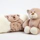 Cozy Blanket and Teddy Sets for Sweet Dreams | Teddy Information – Everything You Need to Know About Teddy Bears