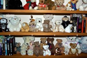 Cute Teddy Bear Shelf Decor & Ideas | Teddy Information – Everything You Need to Know About Teddy Bears