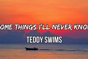 The Mystery of "Teddy Swims" Lyrics: What We'll Never Know Safem Fabrication - Precision Engineering & Custom Manufacturing Solutions The Mystery of "Teddy Swims" Lyrics: What We'll Never Know | Safem Fabrication - Precision Engineering & Custom Manufacturing Solutions