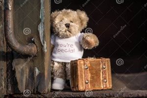 Lost Innocence: Teddy Bear, Suitcase, Blood, Train Journey | Teddy Information – Everything You Need to Know About Teddy Bears