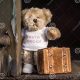 Lost Innocence: Teddy Bear, Suitcase, Blood, Train Journey | Teddy Information – Everything You Need to Know About Teddy Bears