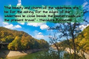 Best Teddy Roosevelt Nature Quotes & Conservation Wisdom Safem Fabrication - Precision Engineering & Custom Manufacturing Solutions Best Teddy Roosevelt Nature Quotes & Conservation Wisdom | Safem Fabrication - Precision Engineering & Custom Manufacturing Solutions