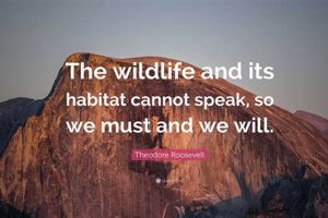 Best Teddy Roosevelt Quotes About Nature & Conservation Safem Fabrication - Precision Engineering & Custom Manufacturing Solutions Best Teddy Roosevelt Quotes About Nature & Conservation | Safem Fabrication - Precision Engineering & Custom Manufacturing Solutions