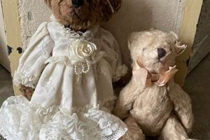Charming Lovely Lace Teddy Bears for Sale Teddy Information – Everything You Need to Know About Teddy Bears Charming Lovely Lace Teddy Bears for Sale | Teddy Information – Everything You Need to Know About Teddy Bears