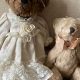Charming Lovely Lace Teddy Bears for Sale | Teddy Information – Everything You Need to Know About Teddy Bears