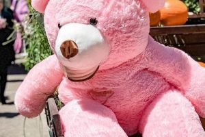 Giant Pink Teddy Bears: Huge & Cuddly Teddy Information – Everything You Need to Know About Teddy Bears Giant Pink Teddy Bears: Huge & Cuddly | Teddy Information – Everything You Need to Know About Teddy Bears