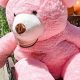 Giant Pink Teddy Bears: Huge & Cuddly | Teddy Information – Everything You Need to Know About Teddy Bears