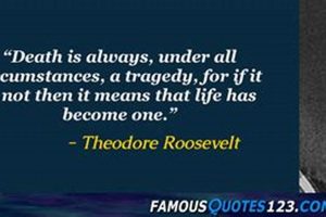 Teddy Roosevelt's Famous Last Words & Their Meaning Teddy Information – Everything You Need to Know About Teddy Bears Teddy Roosevelt's Famous Last Words & Their Meaning | Teddy Information – Everything You Need to Know About Teddy Bears