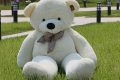 Giant White Teddy Bears: Big, Soft & Cuddly Teddy Information – Everything You Need to Know About Teddy Bears Giant White Teddy Bears: Big, Soft & Cuddly | Teddy Information – Everything You Need to Know About Teddy Bears