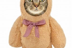Adorable Cat Teddy Bear Costumes & Outfits Teddy Information – Everything You Need to Know About Teddy Bears Adorable Cat Teddy Bear Costumes & Outfits | Teddy Information – Everything You Need to Know About Teddy Bears