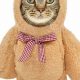Adorable Cat Teddy Bear Costumes & Outfits | Teddy Information – Everything You Need to Know About Teddy Bears
