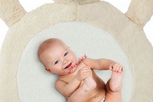 Restore Your Matted Teddy Bear: A Guide Teddy Information – Everything You Need to Know About Teddy Bears Restore Your Matted Teddy Bear: A Guide | Teddy Information – Everything You Need to Know About Teddy Bears