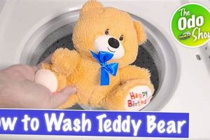 Clean Your Teddy Bear: A Simple Guide Teddy Information – Everything You Need to Know About Teddy Bears Clean Your Teddy Bear: A Simple Guide | Teddy Information – Everything You Need to Know About Teddy Bears