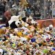 The Ultimate Hockey Teddy Bear Toss Guide | Teddy Information – Everything You Need to Know About Teddy Bears