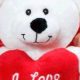Cute I Love You Teddy Bear GIFs & Images | Teddy Information – Everything You Need to Know About Teddy Bears