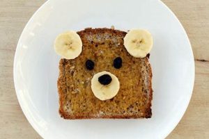 Warm & Cozy Toast Teddy Bears for Kids Teddy Information – Everything You Need to Know About Teddy Bears Warm & Cozy Toast Teddy Bears for Kids | Teddy Information – Everything You Need to Know About Teddy Bears