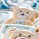Cute Theme Teddy Bears: Find Your Perfect Plush Pal | Teddy Information – Everything You Need to Know About Teddy Bears