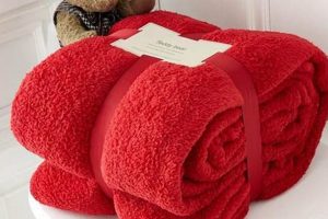 Cozy Teddy Throw Blankets for Sweet Dreams Teddy Information – Everything You Need to Know About Teddy Bears Cozy Teddy Throw Blankets for Sweet Dreams | Teddy Information – Everything You Need to Know About Teddy Bears