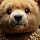 Crowned Teddy Bears: Regal Plush Toys | Teddy Information – Everything You Need to Know About Teddy Bears