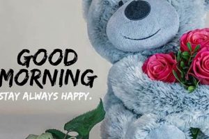 Say Good Morning Teddy Bear: Cuddles & Fun Teddy Information – Everything You Need to Know About Teddy Bears Say Good Morning Teddy Bear: Cuddles & Fun | Teddy Information – Everything You Need to Know About Teddy Bears
