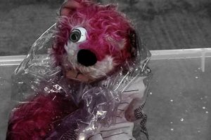 Breaking Bad's Pink Teddy Bear: Symbolism & Meaning Teddy Information – Everything You Need to Know About Teddy Bears Breaking Bad's Pink Teddy Bear: Symbolism & Meaning | Teddy Information – Everything You Need to Know About Teddy Bears