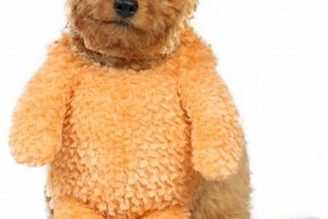 Adorable Teddy Bear Dog Costumes & Accessories Teddy Information – Everything You Need to Know About Teddy Bears Adorable Teddy Bear Dog Costumes & Accessories | Teddy Information – Everything You Need to Know About Teddy Bears