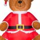 Giant Inflatable Christmas Teddy Bears for Sale | Teddy Information – Everything You Need to Know About Teddy Bears