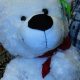 Cute Walgreens Teddy Bears: Find Your Plush Pal | Teddy Information – Everything You Need to Know About Teddy Bears