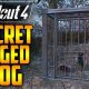Fallout 4's Mysterious Teddy: A Dog's Best Friend? | Teddy Information – Everything You Need to Know About Teddy Bears