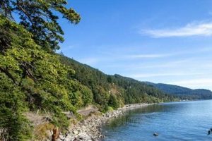 Explore Teddy Bear Cove: Chuckanut Trails Hike Teddy Information – Everything You Need to Know About Teddy Bears Explore Teddy Bear Cove: Chuckanut Trails Hike | Teddy Information – Everything You Need to Know About Teddy Bears