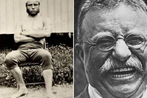 The Teddy Roosevelt Jiu-Jitsu Legacy Teddy Information – Everything You Need to Know About Teddy Bears The Teddy Roosevelt Jiu-Jitsu Legacy | Teddy Information – Everything You Need to Know About Teddy Bears