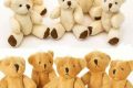 Adorable Mini Teddy Bears: Cuddly & Cute Teddy Information – Everything You Need to Know About Teddy Bears Adorable Mini Teddy Bears: Cuddly & Cute | Teddy Information – Everything You Need to Know About Teddy Bears