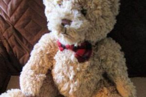 Classic FAO Schwarz Teddy Bears: Plush & Cuddly Teddy Information – Everything You Need to Know About Teddy Bears Classic FAO Schwarz Teddy Bears: Plush & Cuddly | Teddy Information – Everything You Need to Know About Teddy Bears