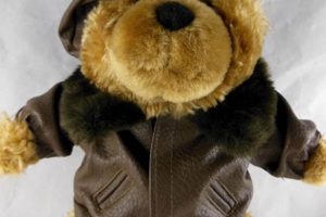 Cute Teddy Bear Jackets & Outfits Teddy Information – Everything You Need to Know About Teddy Bears Cute Teddy Bear Jackets & Outfits | Teddy Information – Everything You Need to Know About Teddy Bears