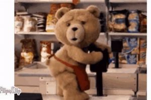 My Teddy Bear Humping: A Guide for Parents Teddy Information – Everything You Need to Know About Teddy Bears My Teddy Bear Humping: A Guide for Parents | Teddy Information – Everything You Need to Know About Teddy Bears