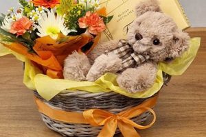 Adorable Basket Teddy Bears for Sale Teddy Information – Everything You Need to Know About Teddy Bears Adorable Basket Teddy Bears for Sale | Teddy Information – Everything You Need to Know About Teddy Bears