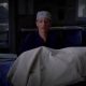 Shocking! Does Teddy Die in Grey's Anatomy? | Teddy Information – Everything You Need to Know About Teddy Bears
