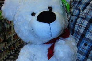 Teddy Bear From Walgreens Teddy Information – Everything You Need to Know About Teddy Bears Teddy Bear From Walgreens | Teddy Information – Everything You Need to Know About Teddy Bears