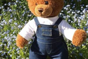 Custom Memory Teddy Bears from Clothes Teddy Information – Everything You Need to Know About Teddy Bears Custom Memory Teddy Bears from Clothes | Teddy Information – Everything You Need to Know About Teddy Bears