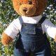 Custom Memory Teddy Bears from Clothes | Teddy Information – Everything You Need to Know About Teddy Bears