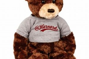 Chelsea Teddy Bear Teddy Information – Everything You Need to Know About Teddy Bears Chelsea Teddy Bear | Teddy Information – Everything You Need to Know About Teddy Bears