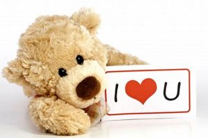 Say "I Love You" with a Teddy Bear Gift Teddy Information – Everything You Need to Know About Teddy Bears Say "I Love You" with a Teddy Bear Gift | Teddy Information – Everything You Need to Know About Teddy Bears