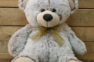 Teddy Bear Cuddly Teddy Information – Everything You Need to Know About Teddy Bears Teddy Bear Cuddly | Teddy Information – Everything You Need to Know About Teddy Bears
